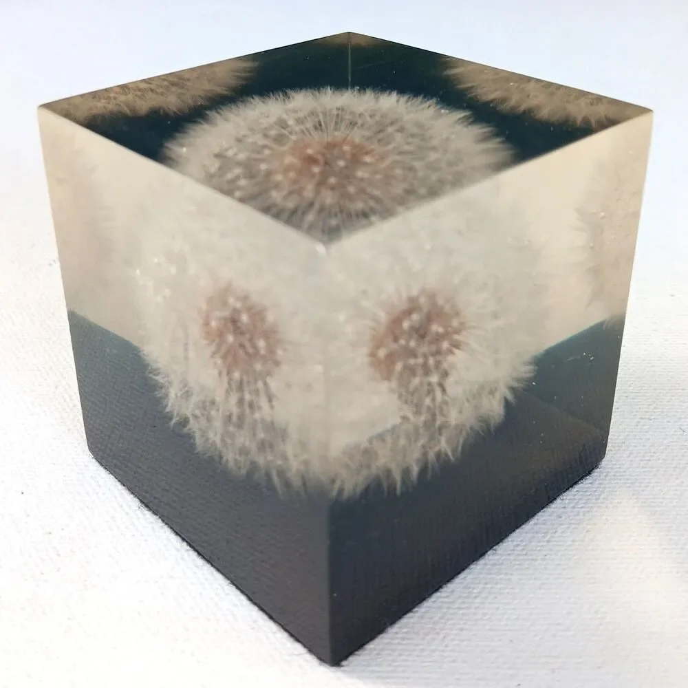 Vintage Dandelion Lucite Resin Cube Paperweight  Shoreline 2 3/8